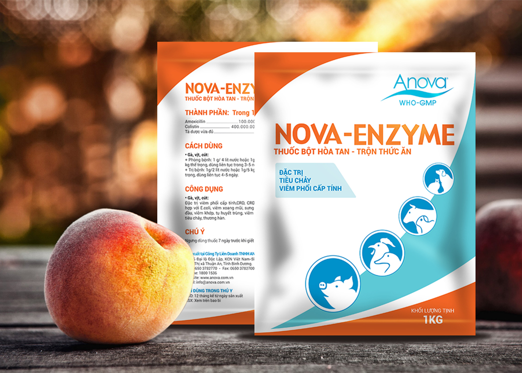 ANOVA - Thiết kế bao bì dược phẩm thú y ANOVA